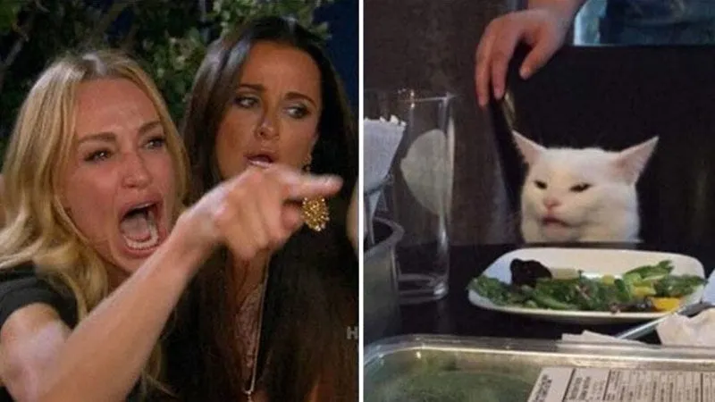 Meme Viral Woman Yelling at a Cat