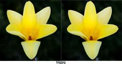 bigjpg 5 Tools Terbaik untuk Memperbesar Gambar Tanpa Pecah 2 bigjpg