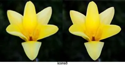 icons8 5 Tools Terbaik untuk Memperbesar Gambar Tanpa Pecah 1 icons8