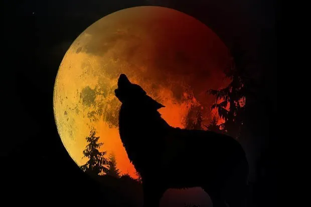 Super Blood Wolf Moon