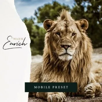 Cara Dapat Preset Lightroom Gratis F3cd0