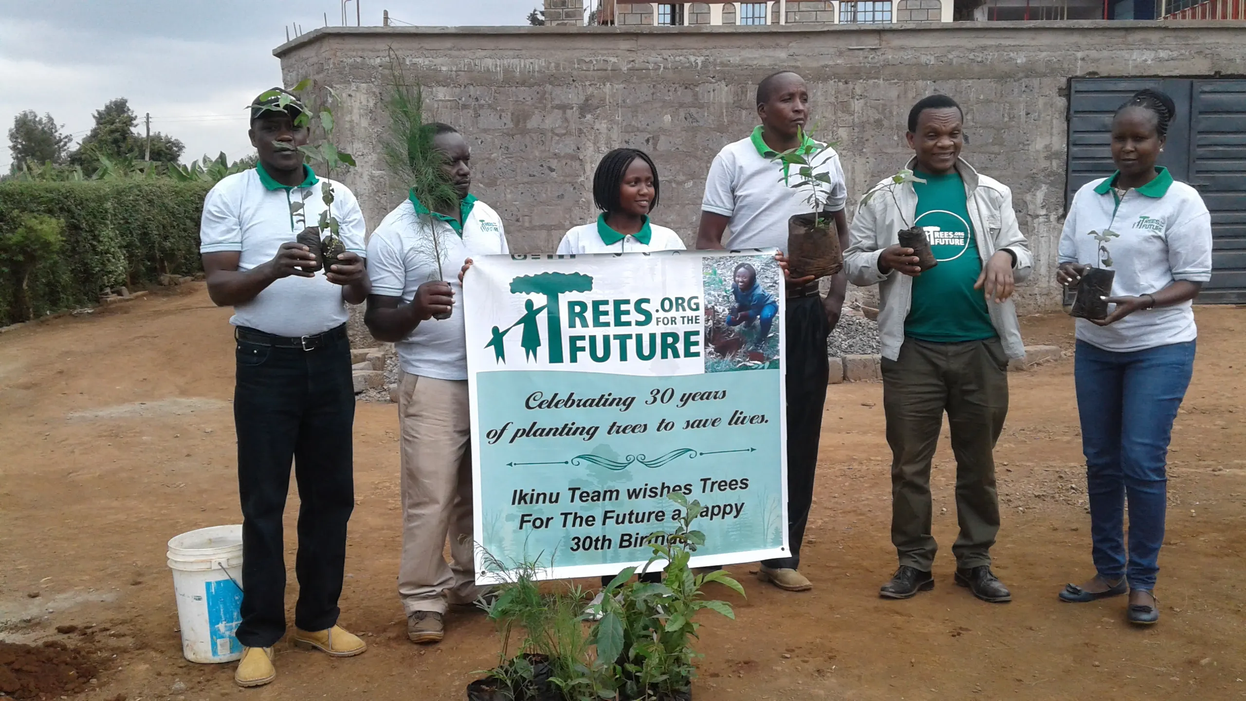 Ilustrasi organisasi Trees for the Future.