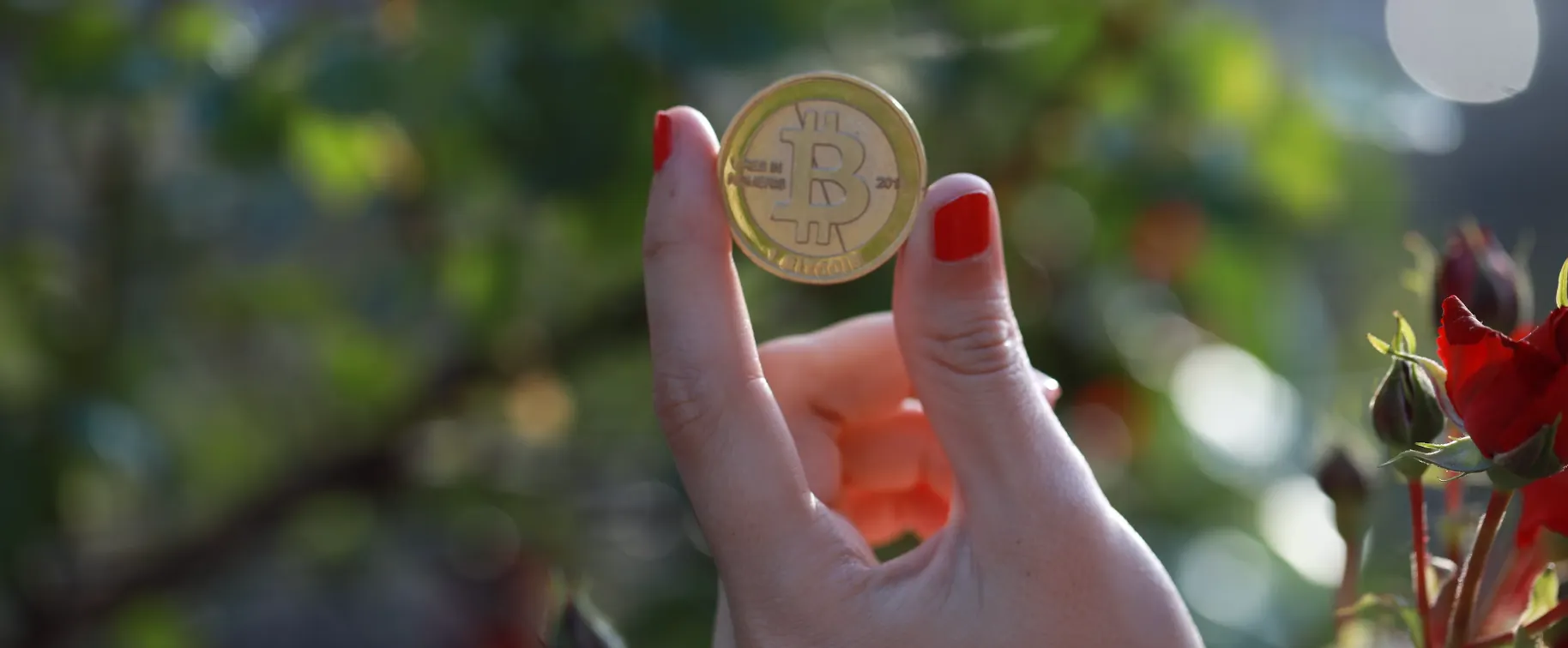 yield farming crypto