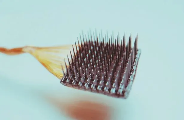 Sumber: https://www.dailystar.co.uk/tech/firm-implants-brain-chips-50-29864671