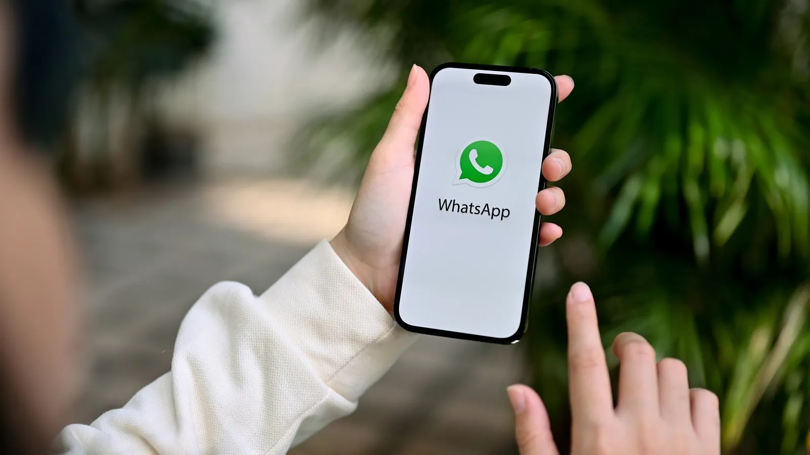 WhatsApp Chat Themes Favorite