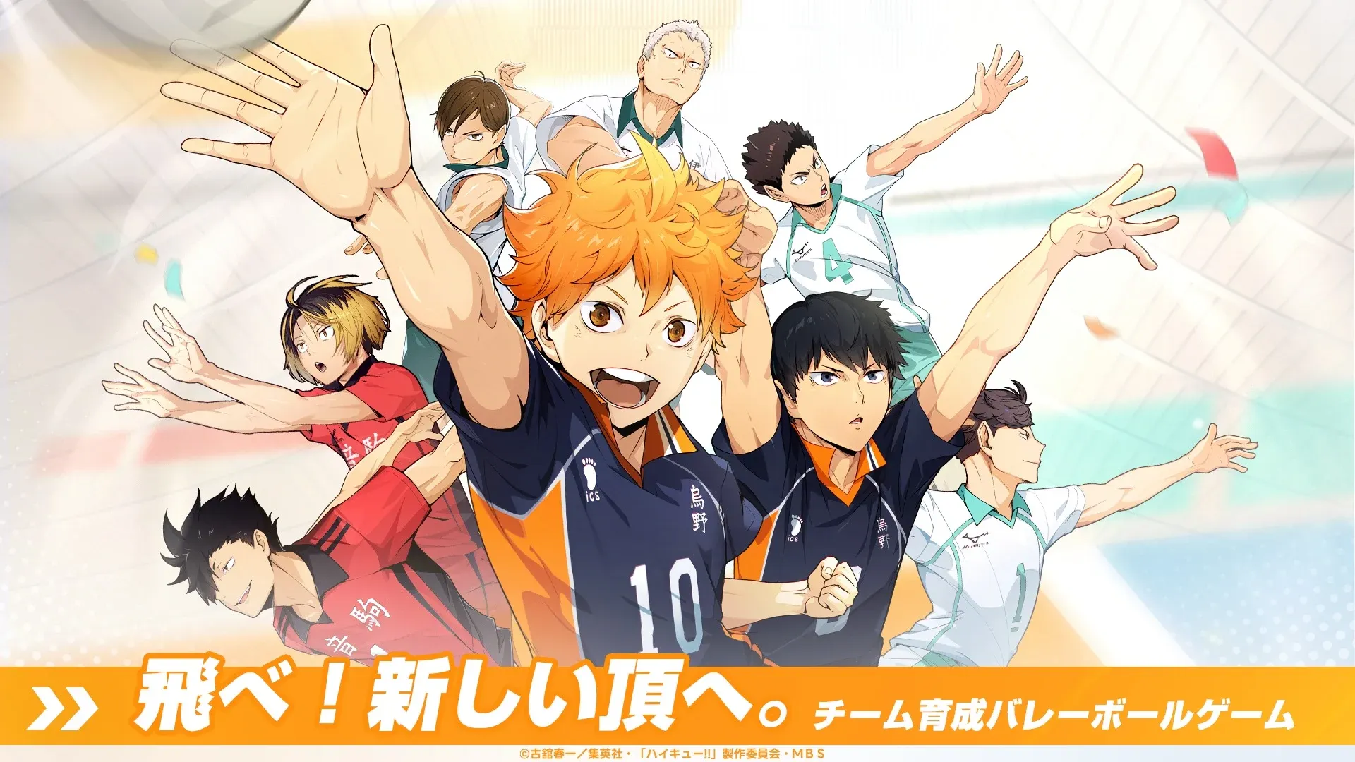 Haikyu Fly High