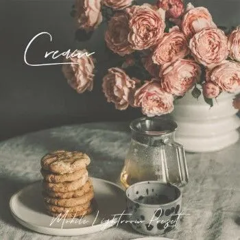 Cara Download Preset Lightroom Gratis 6ea50