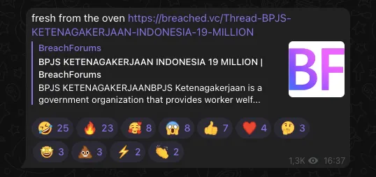 bjorka bpjs kesehatan