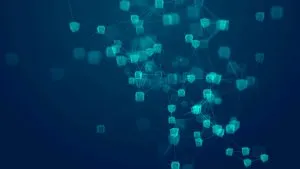 Karakteristik Sumo coin