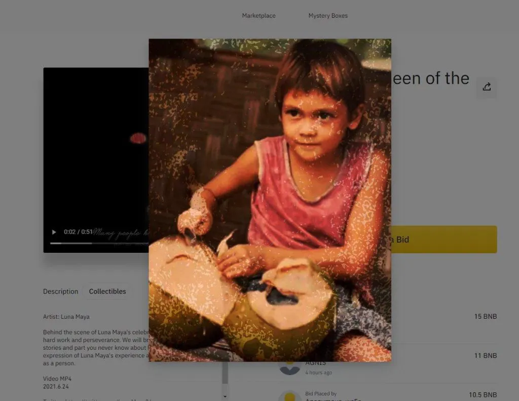 artis nft indonesia luna maya