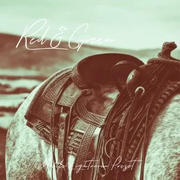 Cara Download Preset Lightroom D2996