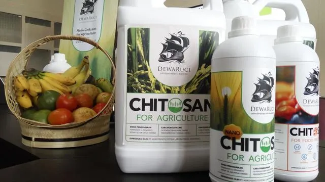 Hasil gambar untuk nanokitosan dewaruci UGM