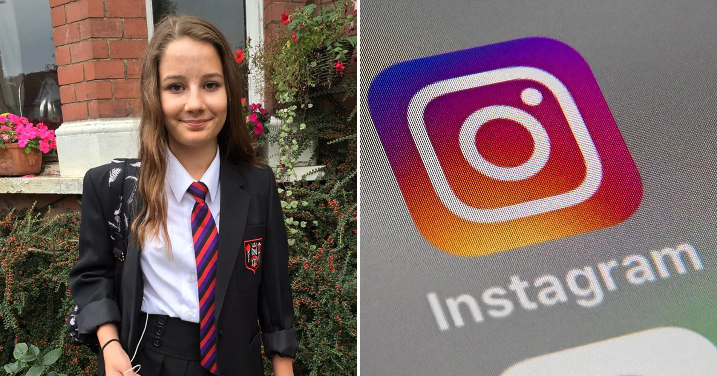 Hasil gambar untuk instagram molly