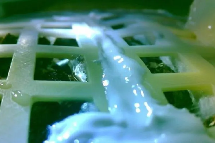 Wow, Benih Tanaman di Bulan Kini Mulai Berkecambah